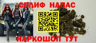 гидропоника Кингисепп