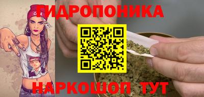 гидропоника Кингисепп