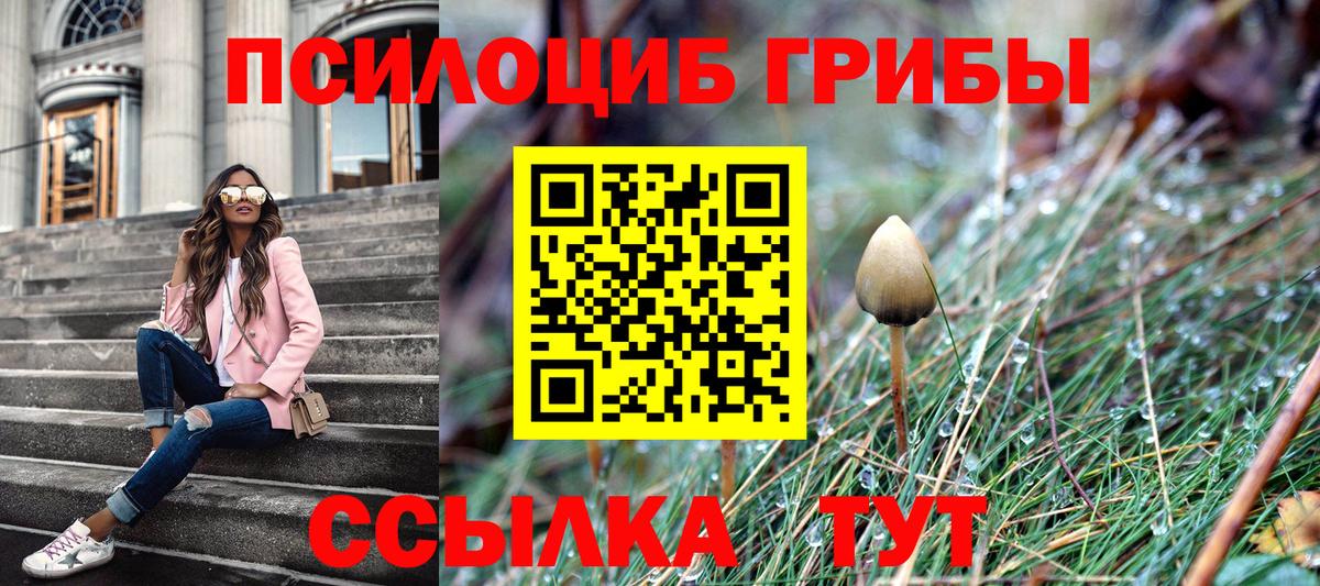 Буйнакск  Псилоцибиновые грибы ЛСД  Вход с VPN 