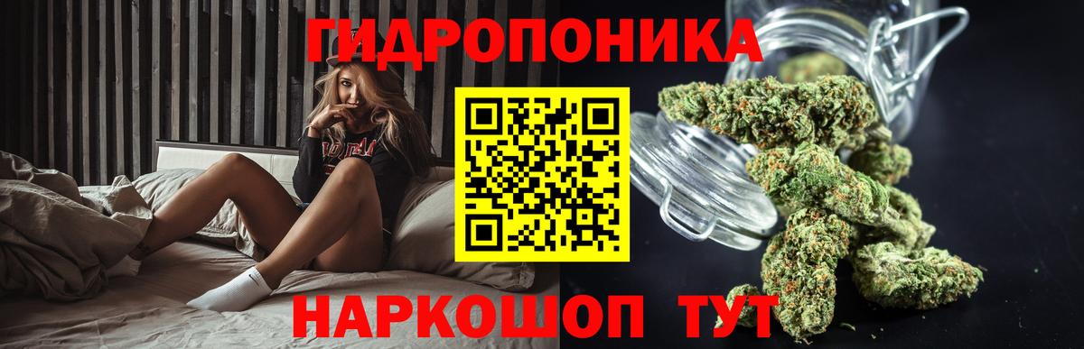 Бошки Шишки SATIVA & INDICA Буйнакск